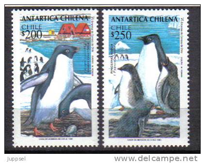 CHILE 1993  Penguin  / CHILI  Pingouin - Manchot - Pinguine