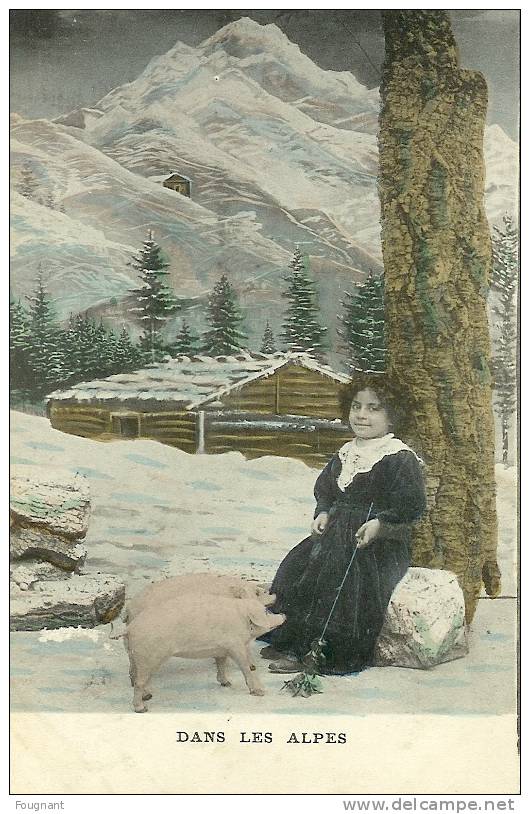 Thématique : Cochons .1907. - Schweine