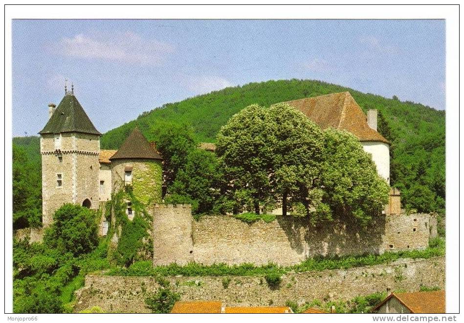 CPM De Chateldon   Le Château Du XII Et XV ème - Chateldon