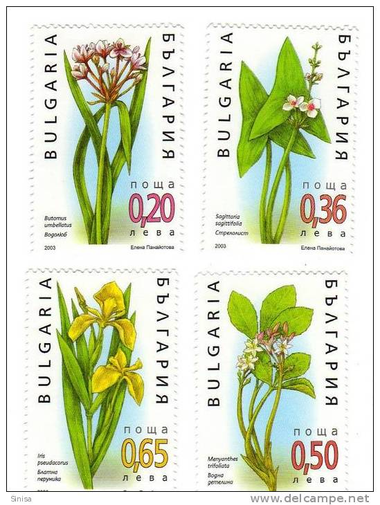 Bulgaria / Plants / Flowers - Unused Stamps