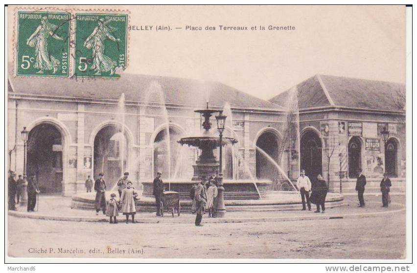 AIN.BELLEY.PLACE DES TERREAUX ET LA GRENETTE - Belley