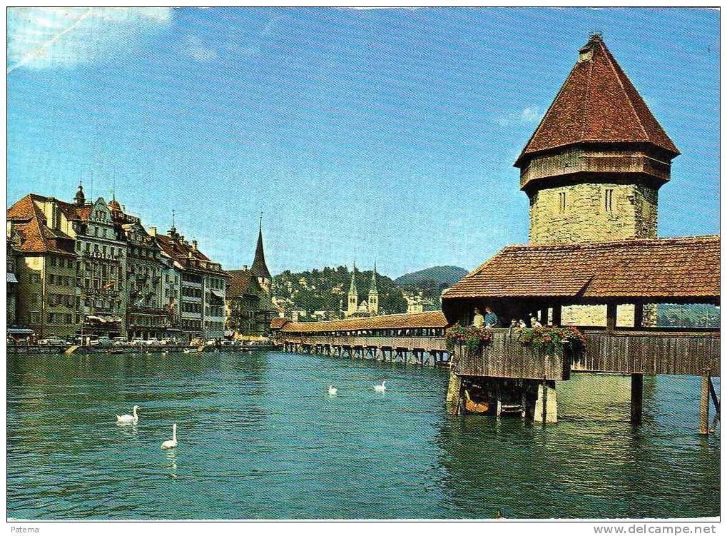 Postal GENEVE, ( Suiza) 1977, Post Card, - Brieven En Documenten