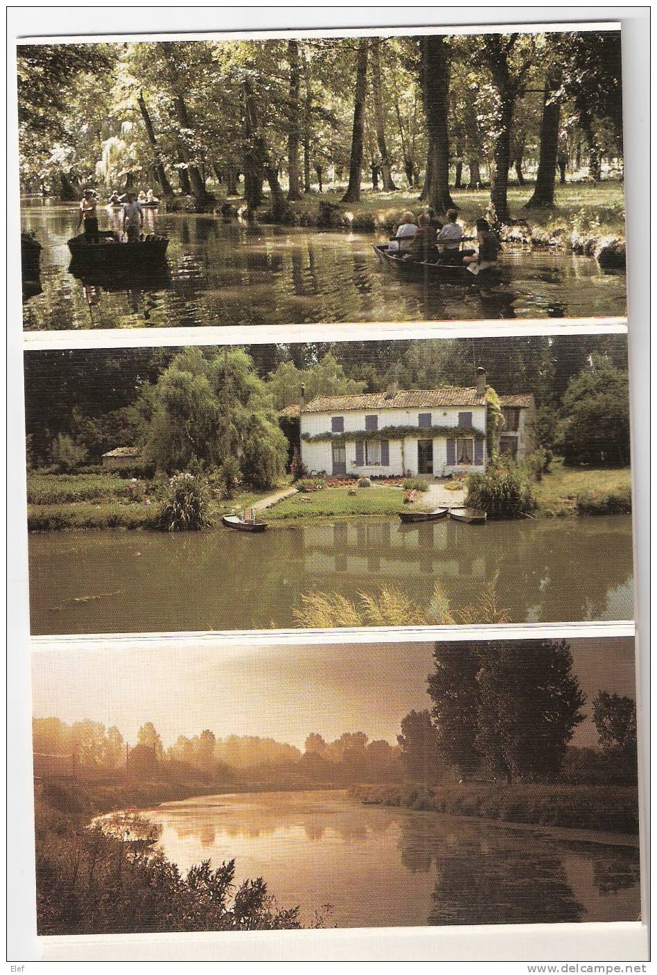 MARAIS POITEVIN, Album10 Vues:Mariage En Barque,Logis D'Arcais,Transport De Vaches,Chèvres,Pêcheur /Carrelet,Gde Rigole - Poitou-Charentes