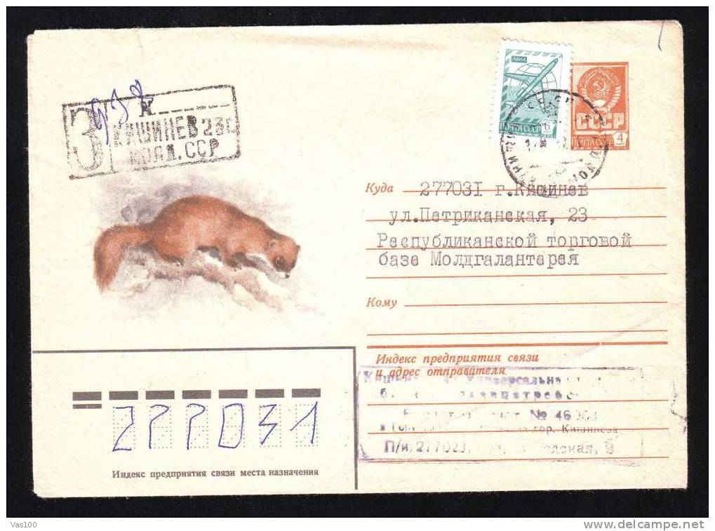 Russia 1980 Registred Cover Stationery  Animaux Rodents Rongeurs. - Rodents