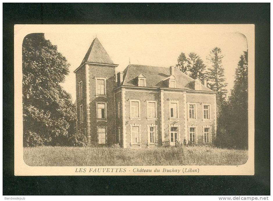 Belgique - LIBIN - Les Fauvettes - Château Du Buchay ( Ed. J. Debehogne Papetier ) - Libin