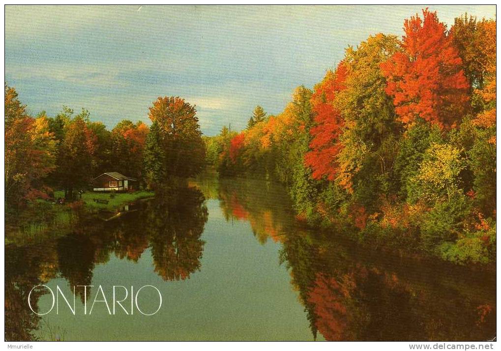 CANADA-ONTARIO L'AUTOMNE-MB - Modern Cards