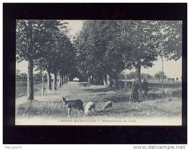 Saint Marcellin Promenade De Joud édit.B&G Berger Chèvre Moutons  Belle Carte - Saint-Marcellin