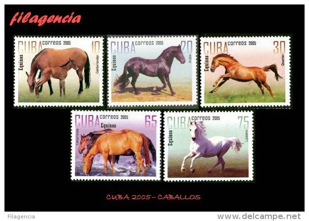 AMERICA. CUBA MINT. 2005 FAUNA. CABALLOS DE RAZA - Neufs