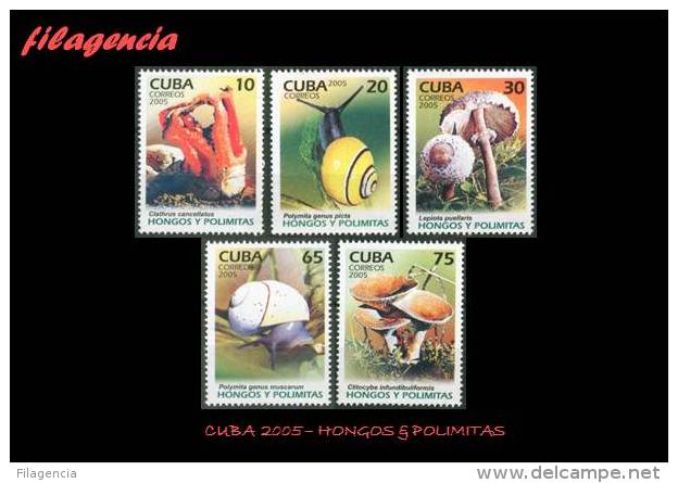 AMERICA. CUBA MINT. 2005 FLORA & FAUNA. HONGOS & POLIMITAS - Nuevos