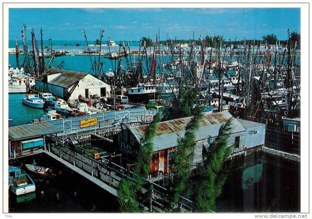 Key West - Turtle Kraals And Shrimp Fleet As Viewed From The Turtle Kraals Tower - Format NON Normalisé 13 Cm X 18 Cm - Key West & The Keys