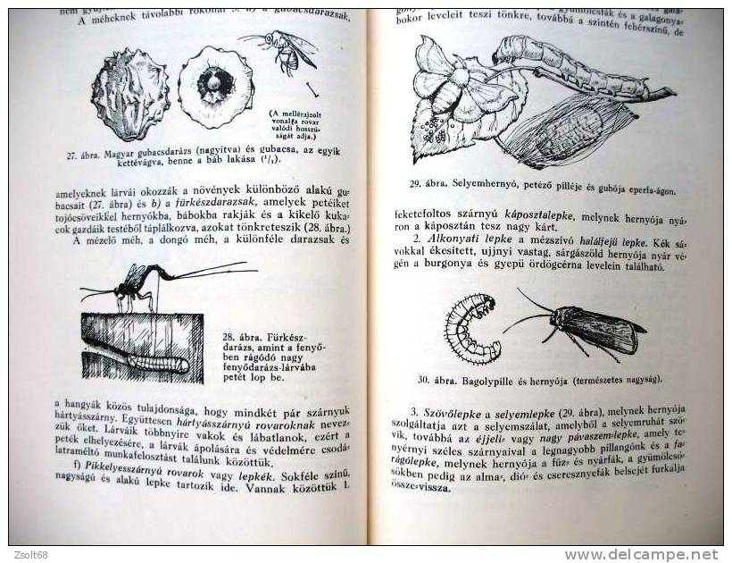 NATURAL SCIENCE  - ENCYCLOPAEDIA  I-II.   1937.  ( Hungarian Language ) - Enciclopedias