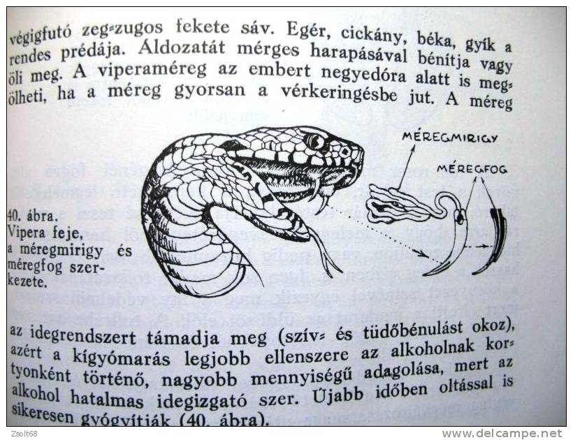 NATURAL SCIENCE  - ENCYCLOPAEDIA  I-II.   1937.  ( Hungarian Language ) - Encyclopédies