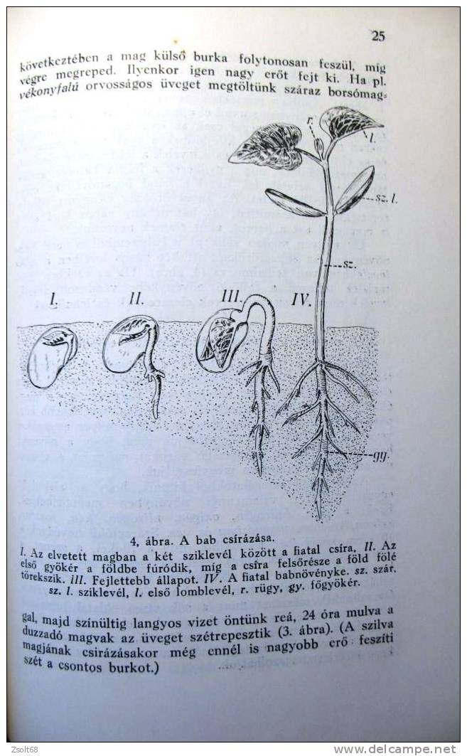 NATURAL SCIENCE  - ENCYCLOPAEDIA  I-II.   1937.  ( Hungarian Language ) - Encyclopédies