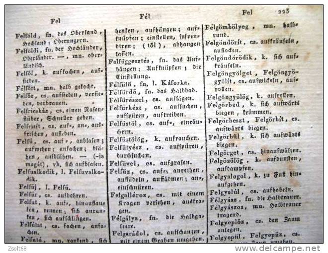 HUNGARIAN - GERMAN DICTIONARY   1838. - Dictionaries