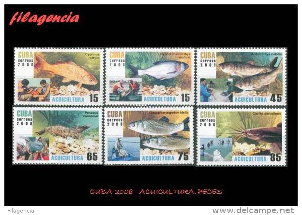 AMERICA. CUBA MINT. 2008 ACUICULTURA. PECES - Unused Stamps