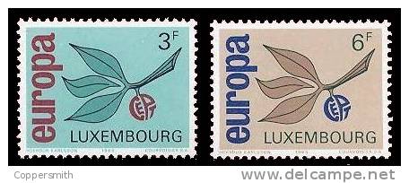 (007) Luxembourg  Europa 1965 / Früchte / Fruit / Vruchten   ** / Mnh  Michel 715-16 - Nuovi