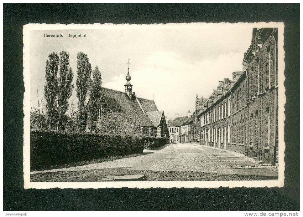 Belgique - Herentals - Begijnhof ( Boekhandel De Oude Linden ) - Herentals