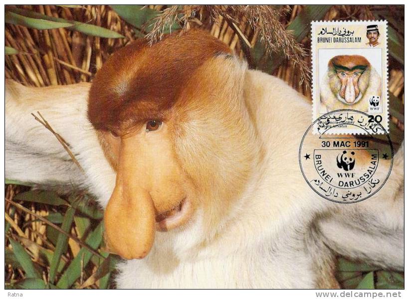 Brunei : CM Carte Maximum WWF Singe Primate Nasique Proboscis Monkey Nasenaff Nasalis Larvatus - Apen