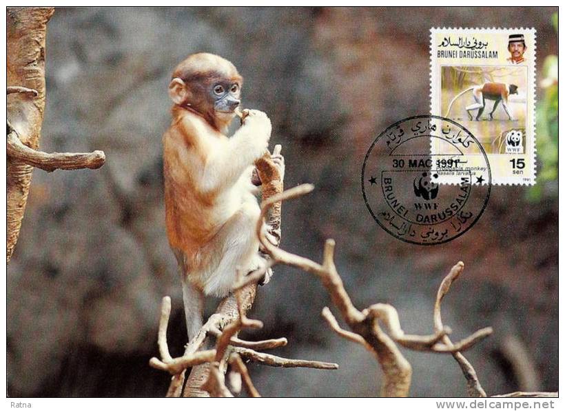 Brunei : CM Carte Maximum WWF Singe Primate Nasique Proboscis Monkey Nasenaff Nasalis Larvatus - Apen