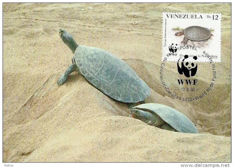 Venezuela : CM Carte Maximum WWF Reptile Tortue Pdocnemis Expansa Arrau River Turtle Arrauschildkrote - Tortues