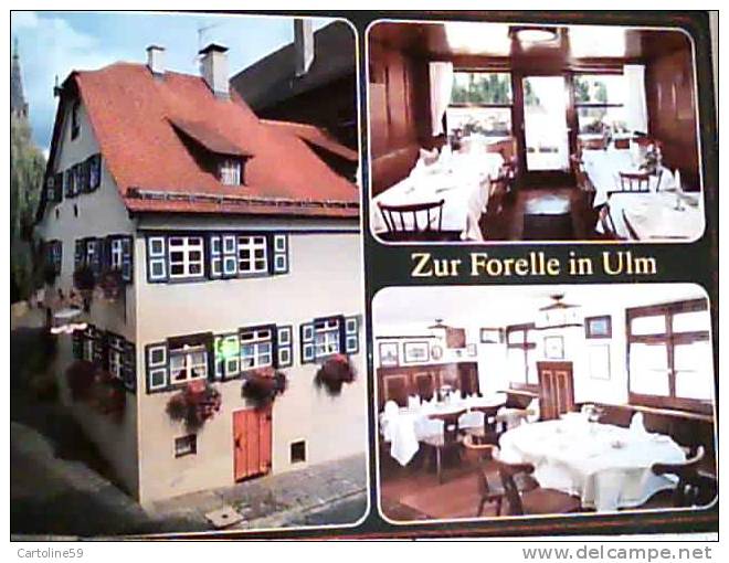 GERMANY ALLEMAGNE  ZUR FORELLE IN ULM N1980  CA1724 - Ulm