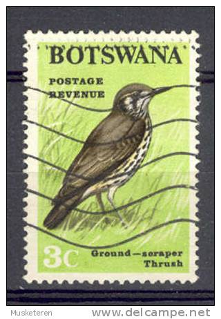 Botswana 1967 Mi. 21  3 C Bird Vogel Ground Seraper Thrush - Botswana (1966-...)