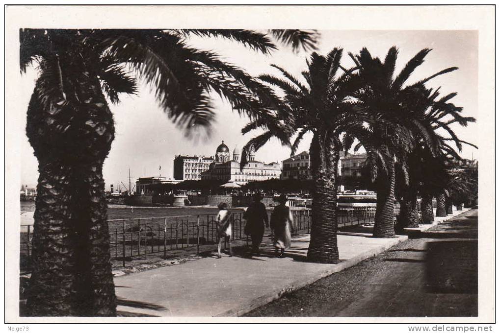 Carte Des Années 40.50 Du 83 - Saint Raphael - Boulevard Félix Martin - Saint-Raphaël