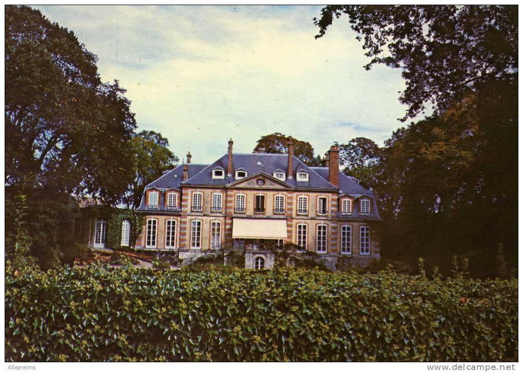 CPM 51 : MAREUIL SUR AY   Le Chateau    A VOIR !!! - Mareuil-sur-Ay