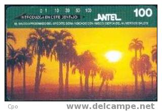 # URUGUAY 14 Sunset & Palm 100 Anritsu   Tres Bon Etat - Uruguay