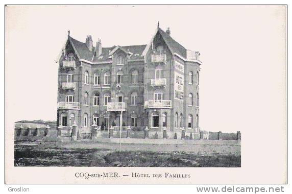 COQ SUR MER HOTEL DES FAMILLES - De Haan