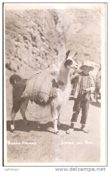 PEROU-ref 02- Sierra Del Peru -lama - - Pérou