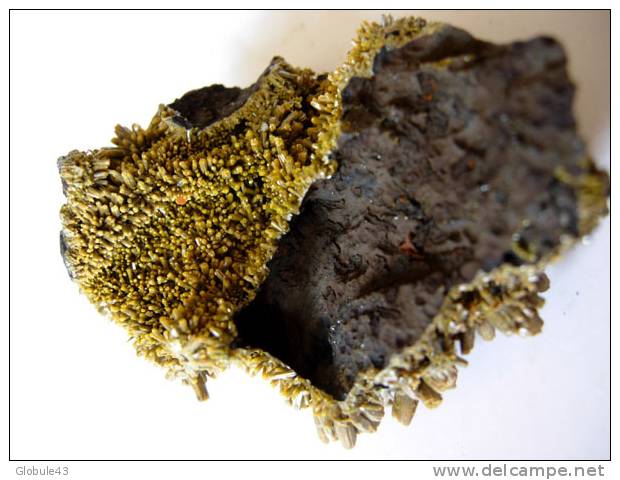 PYROMORPHITE ET UNE WULFENITE  6 X 4,3 CM  LES FARGES USSEL - Minerali