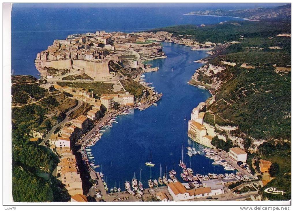 BONIFACIO - Les Quais - La Haute Ville - Vue Aérienne - Autres & Non Classés