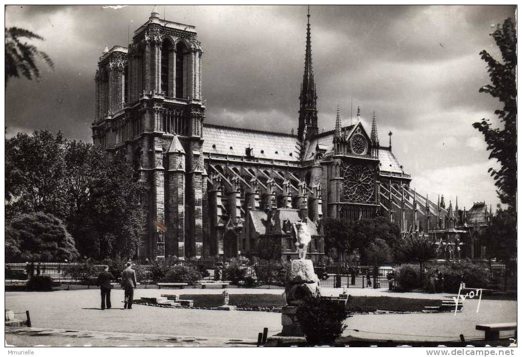 PARIS-NOTRE DAME Vue Du Square René Viviani-MB - Notre Dame De Paris
