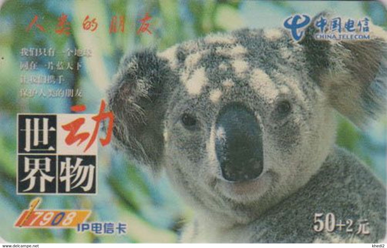 Télécarte CHINE - ANIMAL - KOALA - CHINA TELECOM Phonecard - 192 - Chine