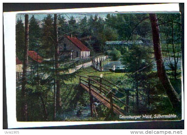 AK.Teutoburger Wald, Silbermuhle. - Detmold