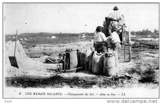 Les Marais Salants - Chargement Du Sel - Mise En Sac   (4397) - Industrie