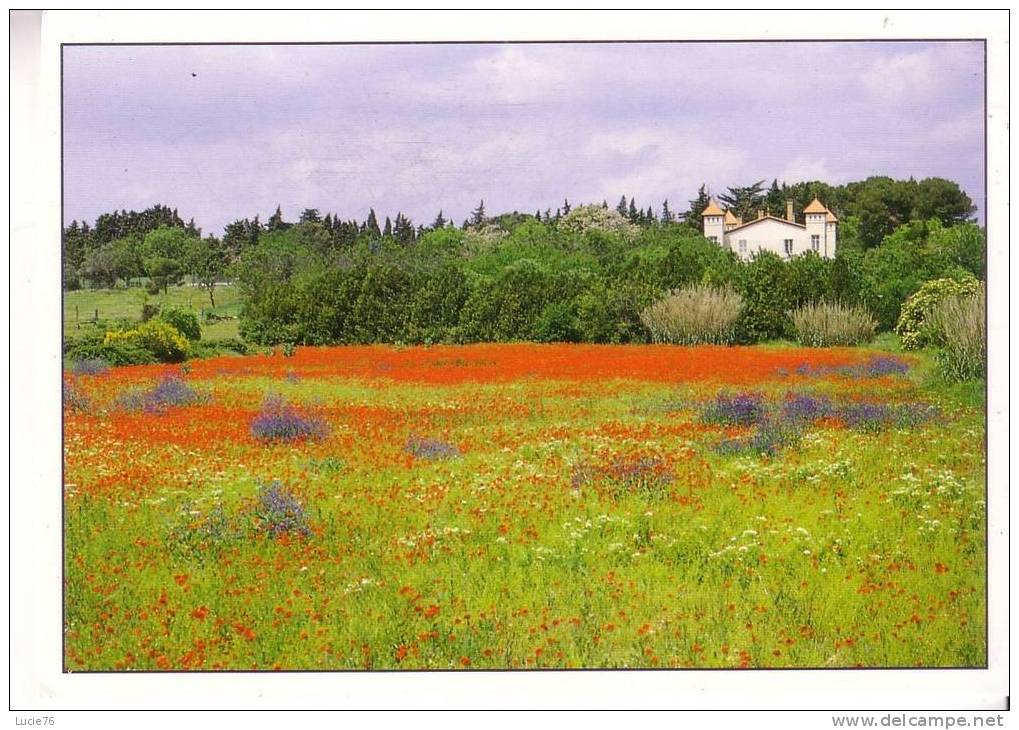 MAISONS DU PAYS - Le Manoir Aux Coquelicots  - N° MDP 24 - Other