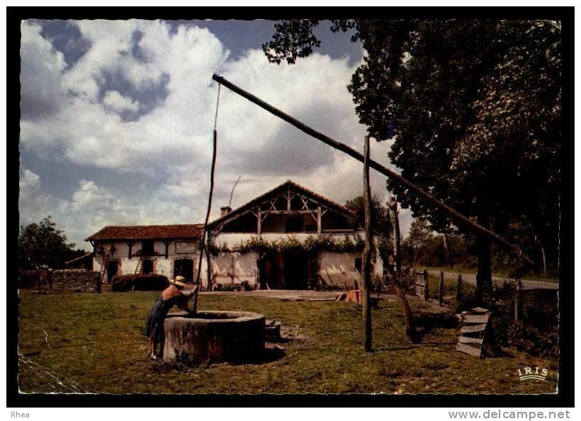 40 Ferme Landaise Puits D40D RH073539 - Autres & Non Classés