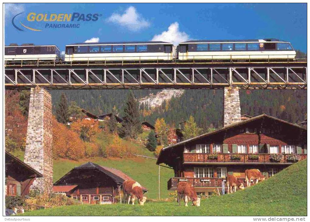 Golden Pass Panoramic MOB Suisse ( Train Zug Treno Bahn Chemin De Fer Chalets Vaches ) - Trenes