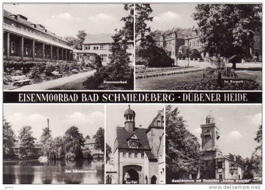 Deutschland, BAD SCHMIEDEBERG - Dübener Heide, Mint, 1978 - Bad Schmiedeberg