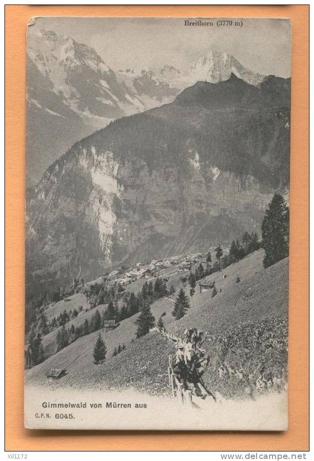 F685 Gimmelwald Von Mürren Aus. Sentier Sur Le Chemin Du Schilthorn. Breithorn. Touristes, ANIME. Timbre Manque. - Wald