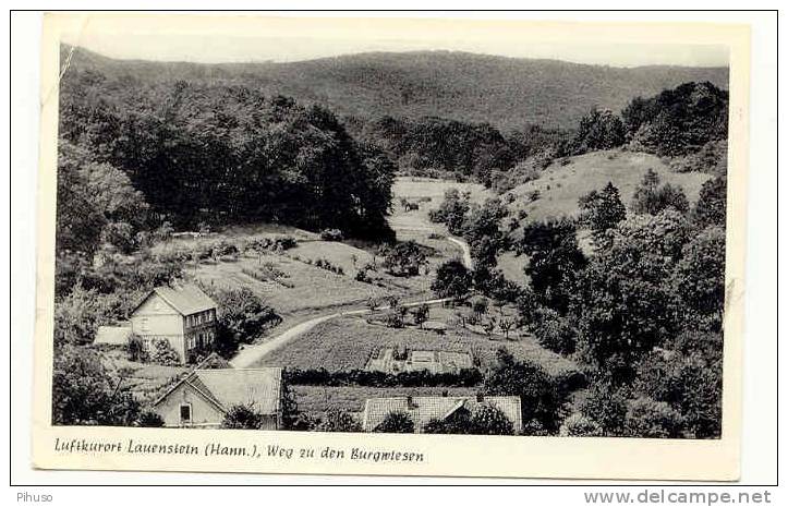 D379   LAUENSTEIN : Weg Zu Den Burgwiesen - Lauenstein