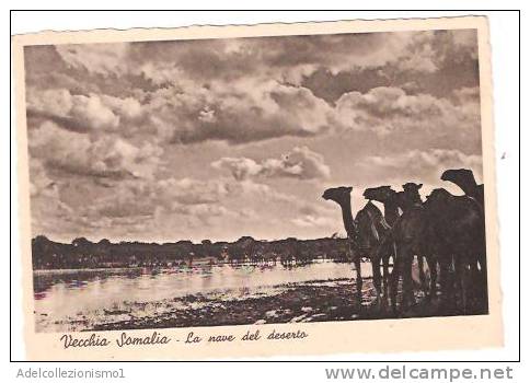 26698)cartolina Illustratoria  Vecchia Somalia - La Nave Del Deserto  - Nuova - Somalie