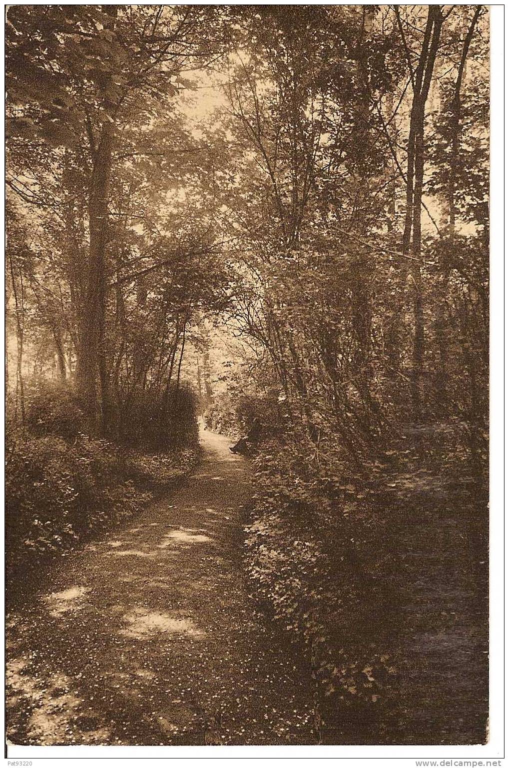 59. Institution Libre De MARCQ-en-BAROEUL , Une Allée Dans Le Parc / CPA NEUVE - Marcq En Baroeul