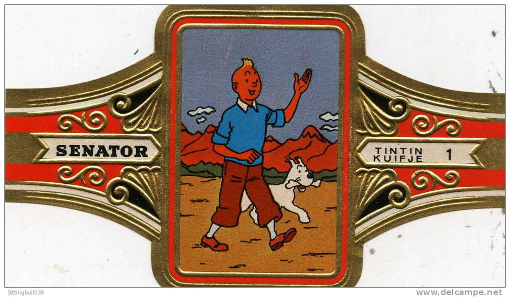 TINTIN. TRES BELLE BAGUE DE CIGARE. SENATOR. FAIT PARTIE D'UNE SERIE DE 24. N° 1. SD (fin 60). DARGAUD.PARIJS - Autres & Non Classés