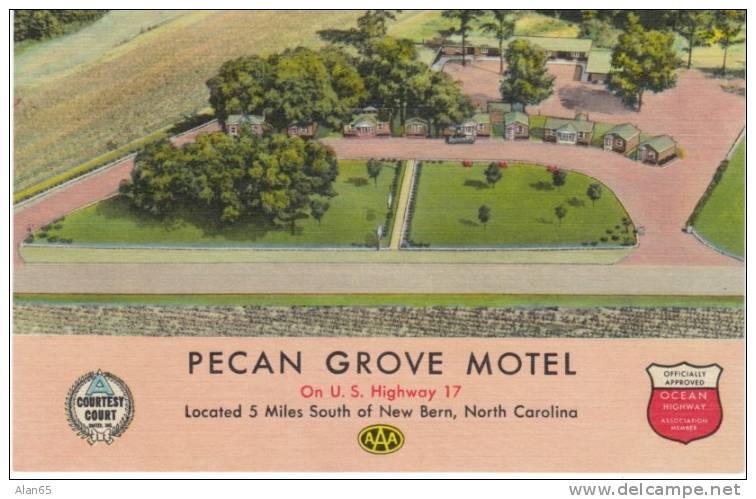 New Bern North Carolina, Pecan Grove Motel, Lodging, C1950s Vintage Curteich Linen Postcard - Autres & Non Classés