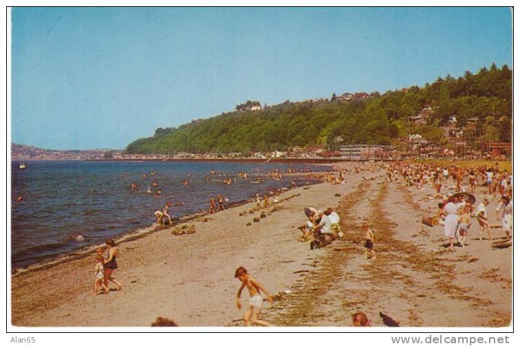 Alki Beach West Seattle WA, Swimming Kids At Beach On 1950s Vintage Postcard - Seattle