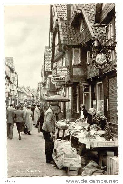 D245 : CELLE : Neustrasse - Celle