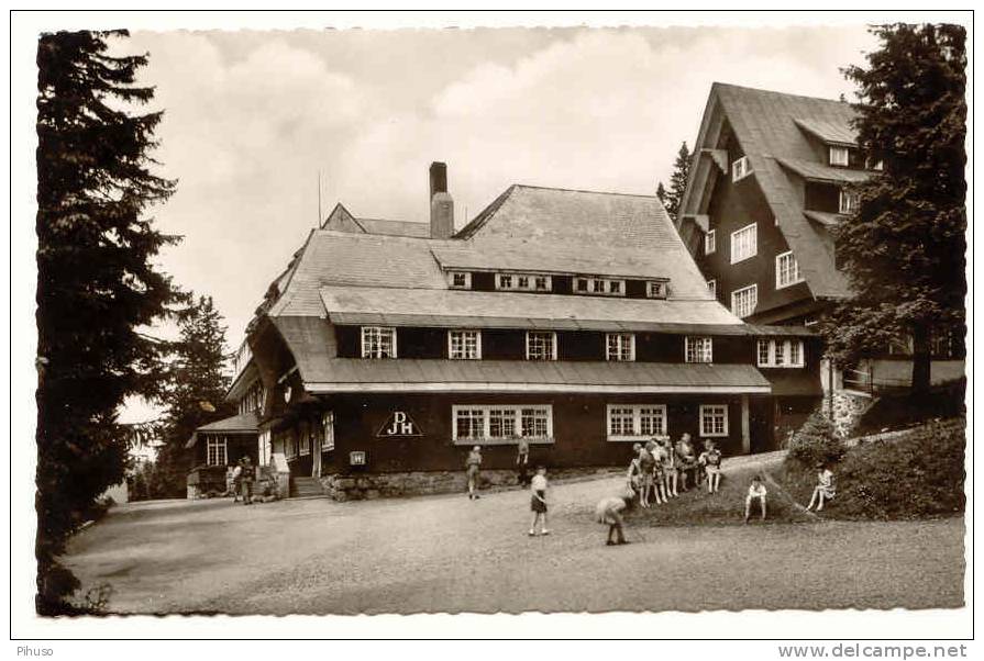 D455  FELDBERG : Jugendherberge Hebelhof - Feldberg